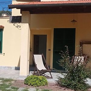 I Campi di Lino